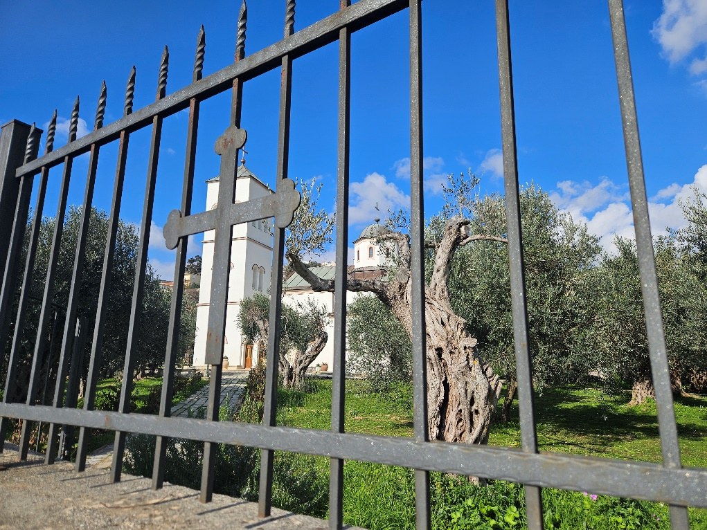 Slika iz dokumenta images/slika28.jpg